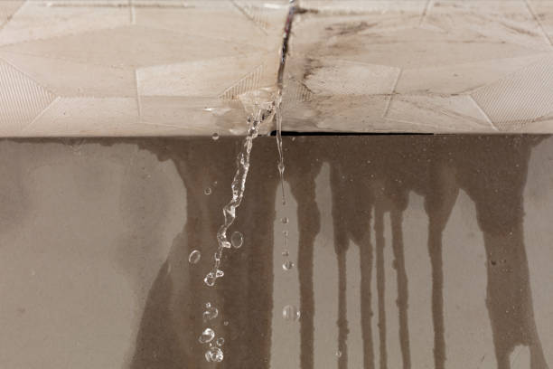 Professional Water Damage Repair technician working in Lewistown, PA